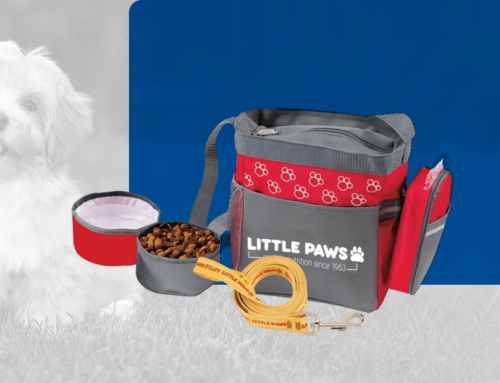 Corporate Gift Kits for New Pet Guardians