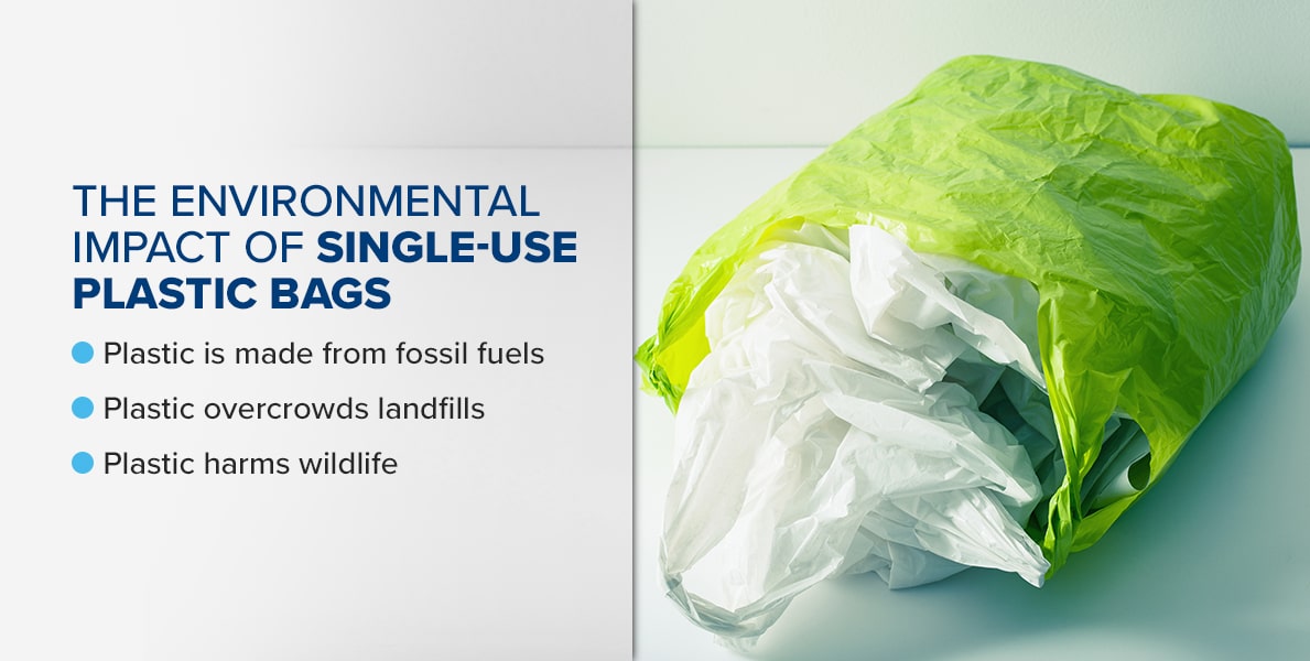 The-Environmental-Impact-of-Single-Use-Plastic-Bags